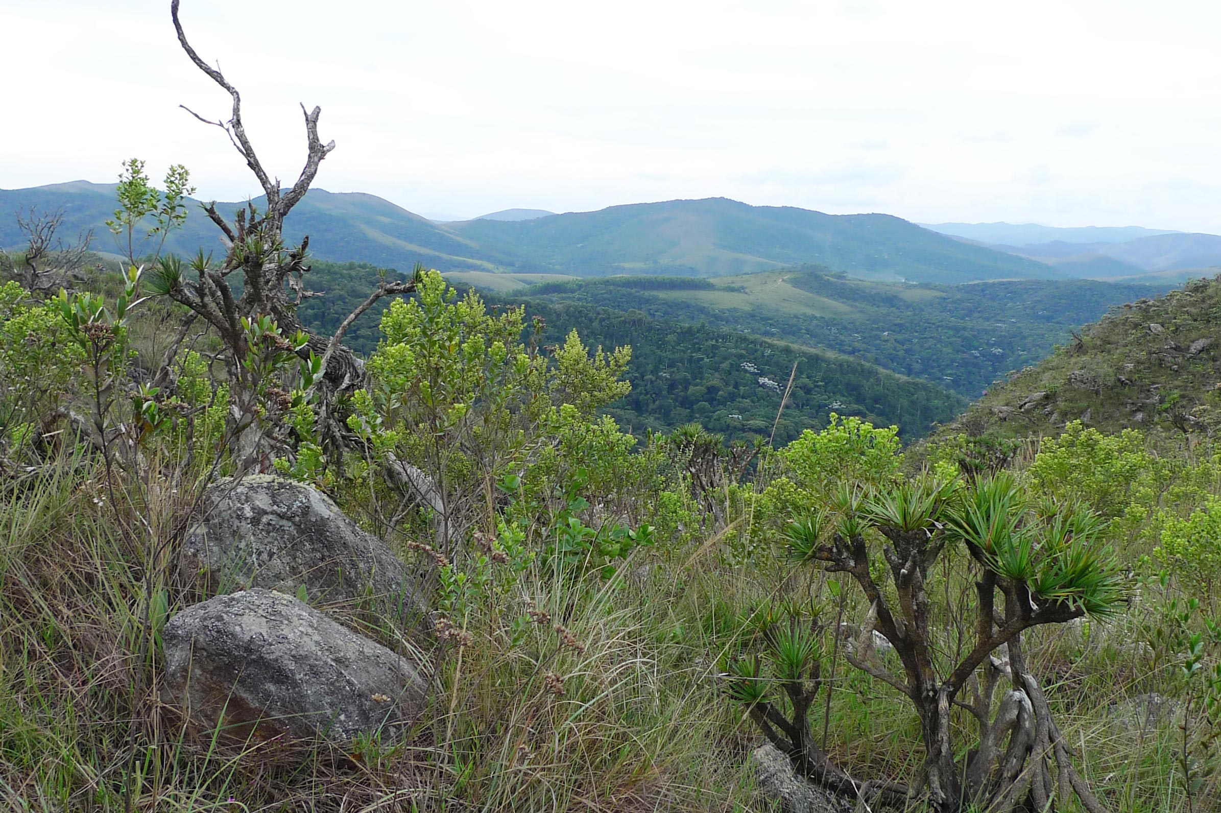 Serra do Ouro Branco - Ouro Branco