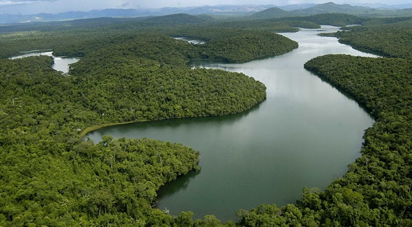 Minas Gerais avança na conservação e regeneração do meio ambiente