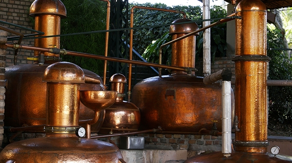 Festival Mundial da Cachaça de Salinas destaca uso da bebida na alta gastronomia