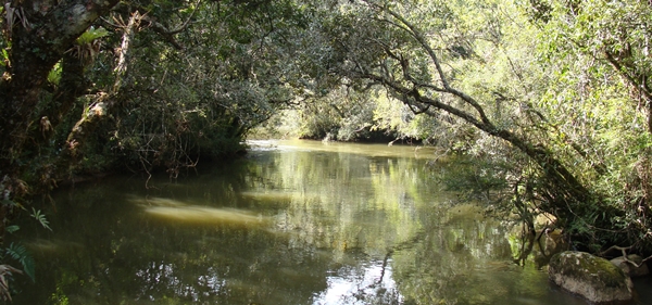 Área de Proteção Ambiental Fernão Dias realiza concurso para escolha de logomarca