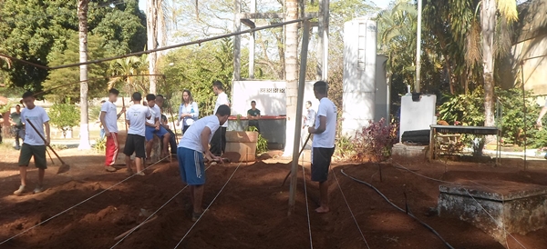 Horticultura muda perspectiva de futuro de jovens do Centro Socioeducativo