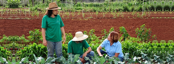 Governo de Minas Gerais reforça apoio ao crescimento da agroecologia