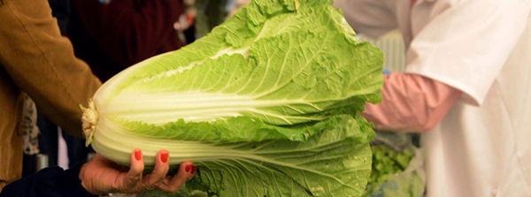 Circuito Liberdade recebe feira de produtos da agricultura familiar