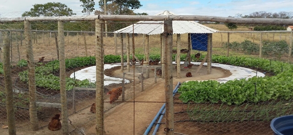 Horta circular agroecológica é a nova aposta no Norte de Minas Gerais