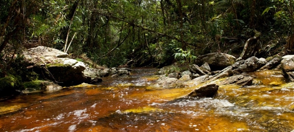 Criação do Parque Estadual Serra Negra é tema de audiências públicas