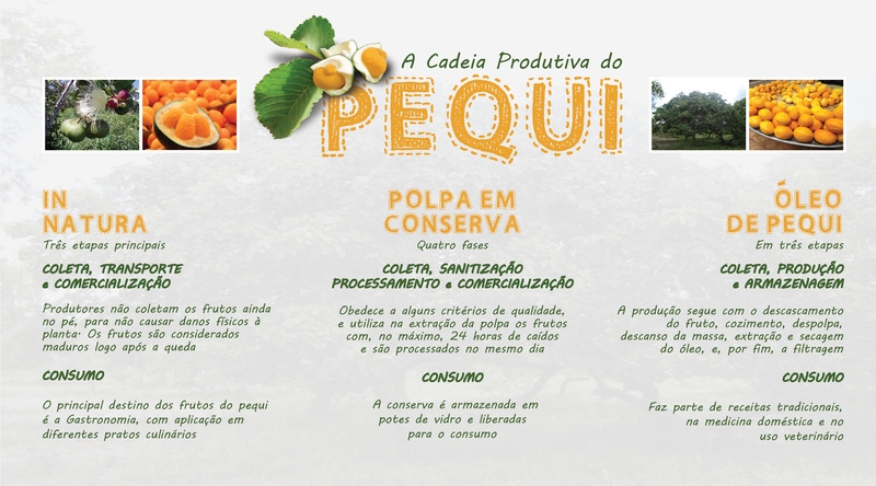 Governo do Estado garante investimentos na produção e comercialização do Pequi e outros frutos do Cerrado