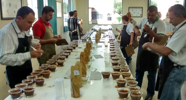 Concurso de Qualidade dos Cafés de Minas Gerais de 2017 entra na reta final