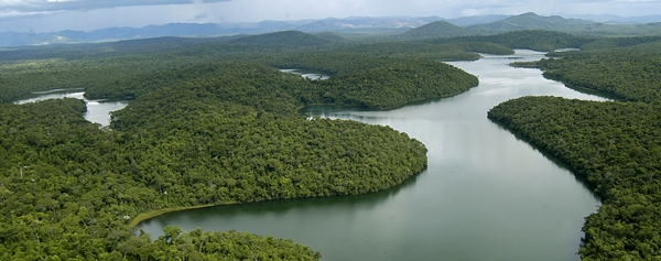  Revisão da Deliberação Normativa 74 é aprovada e traz avanços na legislação ambiental