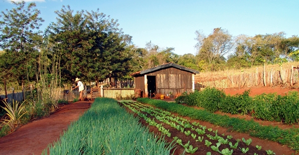 Governo lança estratégia inédita de fornecer produtos da agricultura familiar para merenda escolar