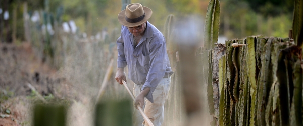 Governo de Minas Gerais lança estratégia inédita de fornecer produtos da agricultura familiar para merenda escolar