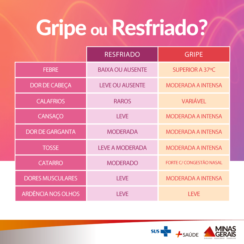 Campanha de vacinação contra gripe começa na próxima segunda-feira