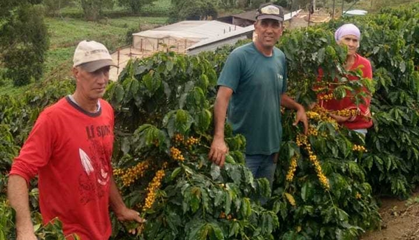  Cafeicultor familiar ganha viagem técnica para a Colômbia