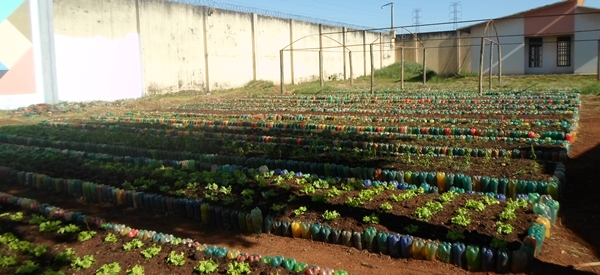 Oficina de horticultura e jardinagem traz perspectiva a jovens do Centro Socioeducativo de Uberlândia