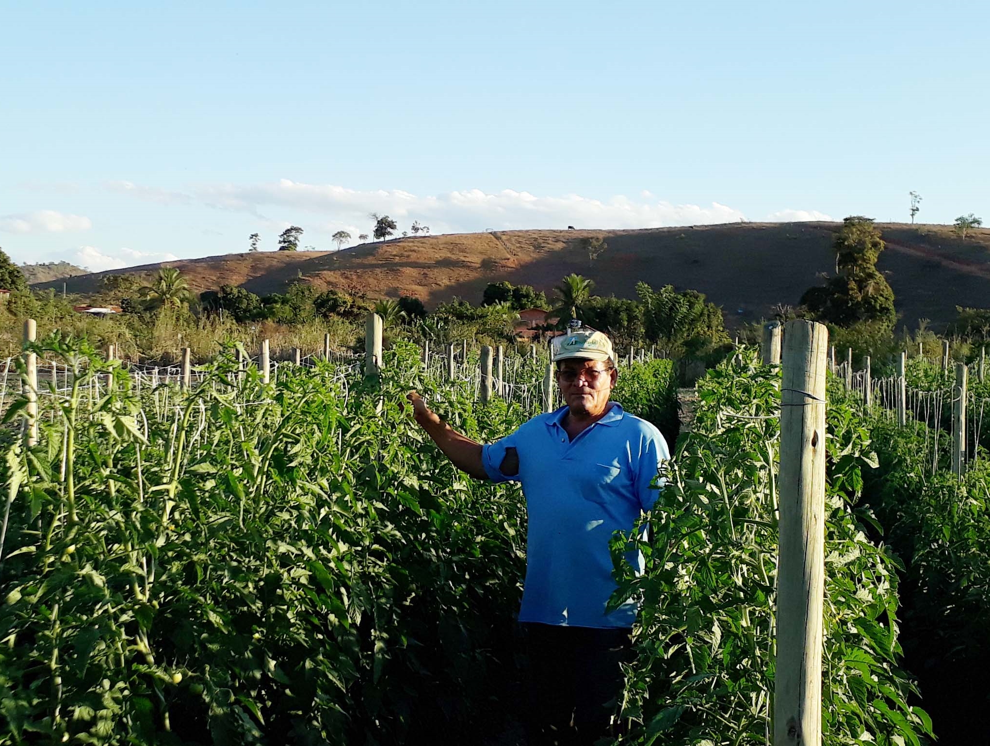 Produtos da agricultura familiar aprimoram alimentação escolar em Minas Gerais