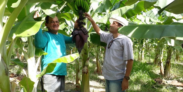Produtos da agricultura familiar aprimoram alimentação escolar em Minas Gerais