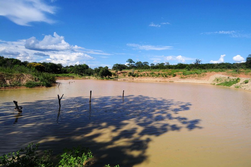 Programa Sementes Presentes beneficia cerca de 22 mil famílias do Território Norte