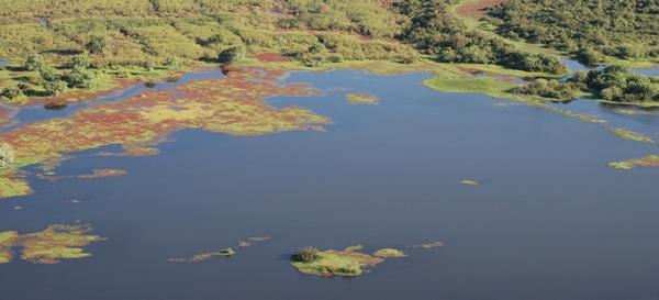 BaciarioPandeiros600