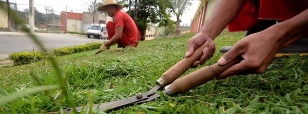 jardinagem600