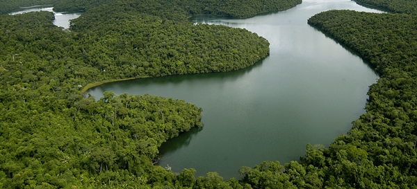 parque