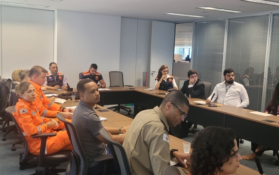 Reunião do Comitê Gestor de Medidas de Prevenção e Enfrentamento das Consequências do Período Chuvoso