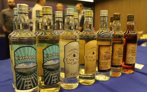 A missão inclui benchmarking de mercado, capacitações e rodadas de negócios