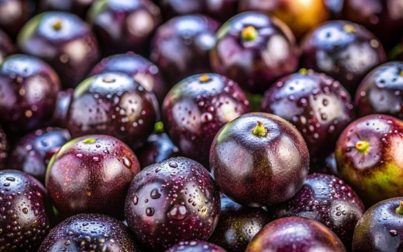 Foto Maria Teresa Leal