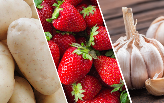 Crédito: Divulgação/Seapa MG