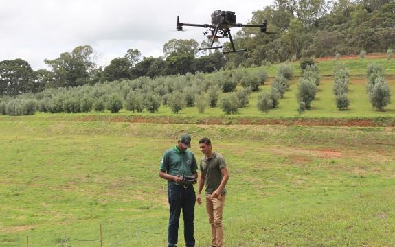 Erasmo Pererira- Epamig