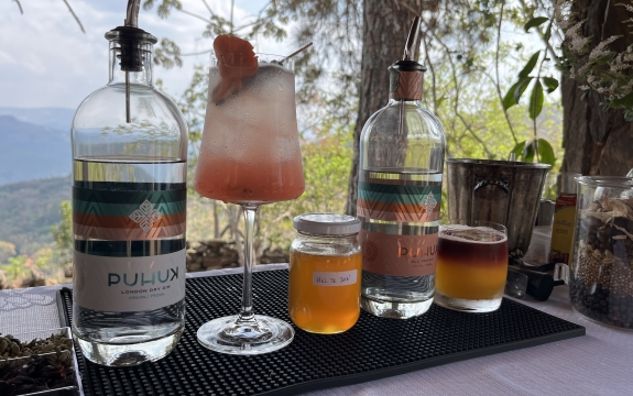 Divulgação Emater-MG