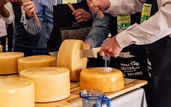 Serão contemplados produtos lácteos não artesanais, elaborados a partir de leite pasteurizado em diversas categorias