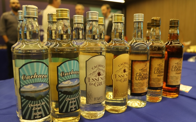 A missão inclui benchmarking de mercado, capacitações e rodadas de negócios