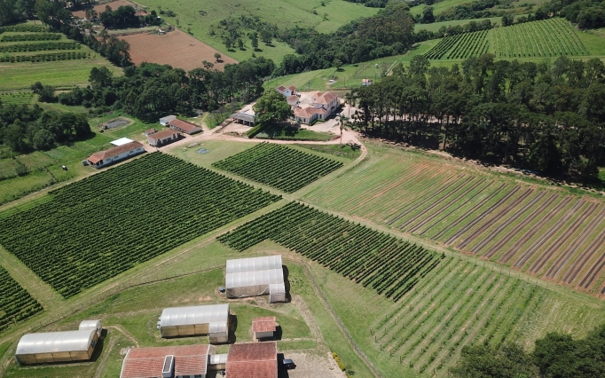 A proposta é fomentar a cadeia produtiva rural na região