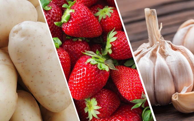 batata inglesa, morando e alho