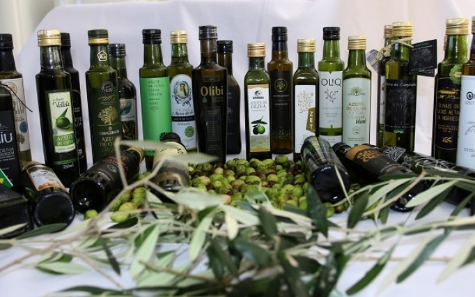 A projeção é de que a safra de 2026 supere a colheita do ano anterior, marcada por 60 mil litros do óleo