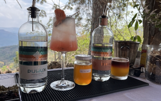 A trajetória de produção da família começou de forma despretensiosa