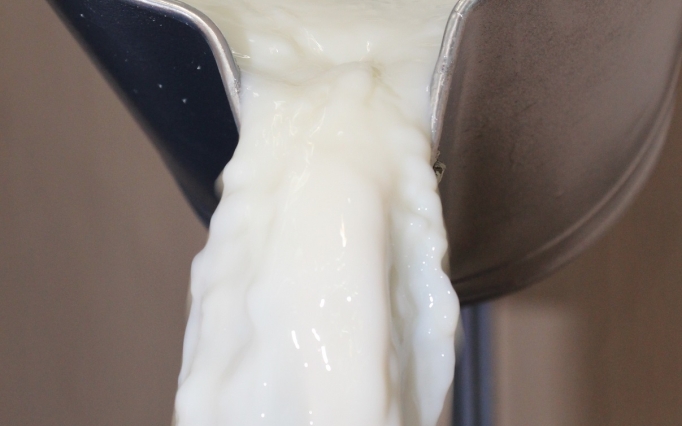 A popularização desse tipo de leite pode ser um diferencial competitivo para os produtores