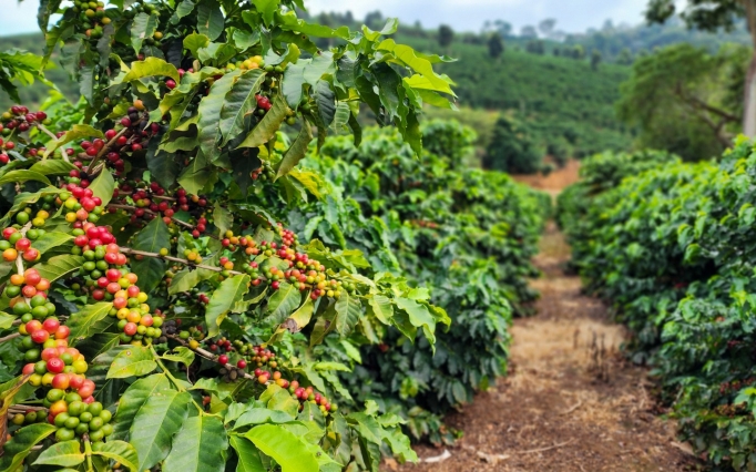 Crédito: Diego Vargas/Seapa MG