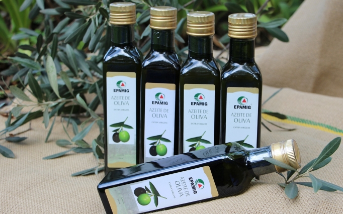 Azeites Epamig