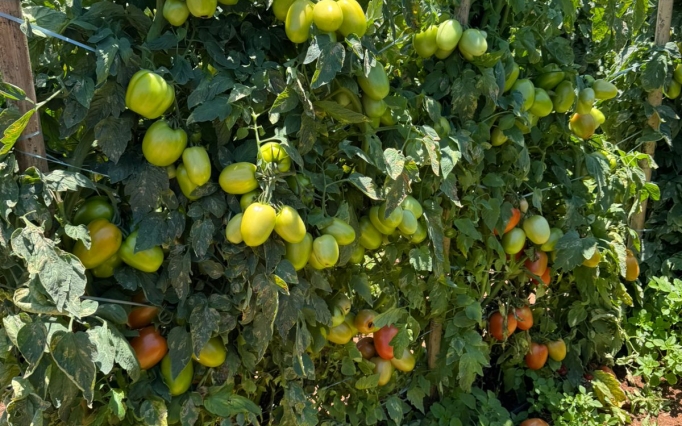 O público-alvo inclui produtores rurais, vendedores, revendedores e profissionais ligados ao setor