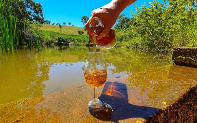 Minas Gerais lidera com folga o ranking nacional de estabelecimentos produtores