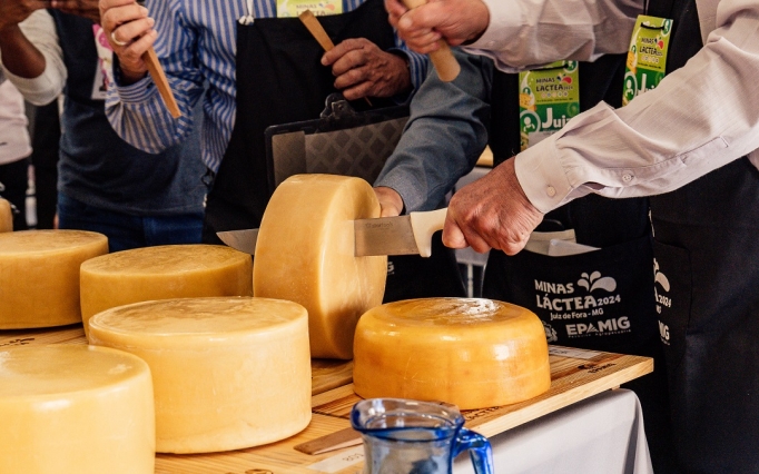 Serão contemplados produtos lácteos não artesanais, elaborados a partir de leite pasteurizado em diversas categorias