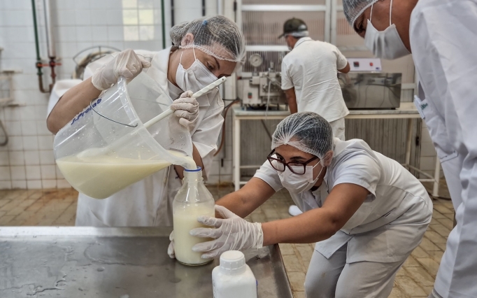 A programação também é voltada à valorização da produção queijeira