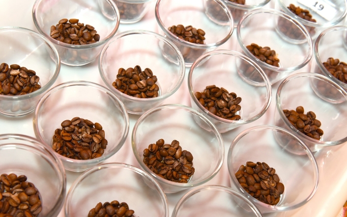 Os números reforçam a presença da agricultura familiar na produção de cafés de qualidade