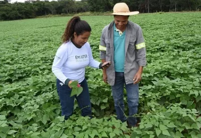Um trabalhador da Emater e produtos em uma plantação.