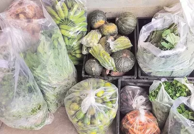 Imagem de verduras e legumes embalados em uma mesa.