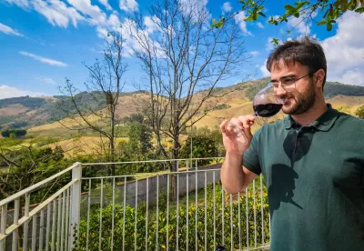 Foto mostra enólogo analisando vinho servido numa taça