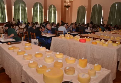 mesa com vários queijos durante julgamento do concurso internacional do queijo em araxá