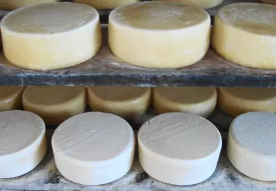 queijos por toda a imagem