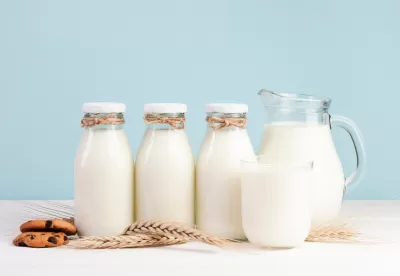Foto de três garrafas, uma jarra e um copo com leite em um fundo azul claro
