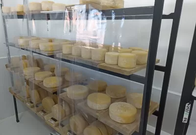 Queijo Minas artesanal